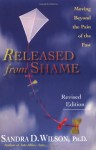 Released from Shame: Moving Beyond the Pain of the Past - Sandra D. Wilson