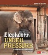 Elephants Under Pressure: A Cause and Effect Investigation - Kathy Allen