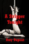 A Stripper Tonight: An FFM Threesome Erotica Story (Katie's Fantasies) - Amy Dupont