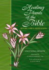 Healing Plants of the Bible: History, Lore and Meditations - Vincenzina Krymow, A. Joseph Barrish