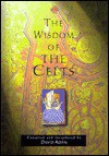 The Wisdom Of The Celts - David Adam