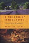 IN THE LAND OF TEMPLE CAVES: From St. Emilion to Paris's St. Sulpice : Notes on Art and the Human Spirit - Frederick W. Turner