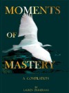 Moments of Mastery: A Compilation - Lauren Zimmerman