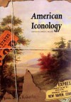 American Iconology: New Approaches to Nineteenth-Century Art and Literature - David C. Miller