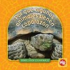 Por Que Algunos Animales Tienen Caparazon = Why Animals Live in Shells - Valerie J. Weber, Susan Nations, Debra Voege