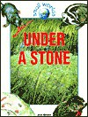 Under a Stone - Jen Green