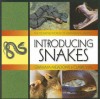 Introducing Snakes - Graham Meadows