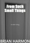 From Such Small Things - Brian Harmon