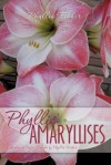 Phyllis' Amaryllises - Phyllis Fisher