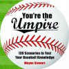 You're The Umpire - Wayne Stewart