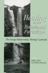 Healing in the Relational Paradigm: The Imago Relationship Therapy Casebook (Essays in Developmental Psychology) - Wade Luquet, Mo Therese Hannah