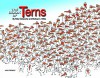 The Book of Terns - Peter Delacorte, Michael C Witte