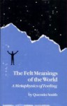 The Felt Meanings of the World: A Metaphysics of Feeling - Quentin Smith