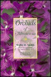 Orchids Of Minnesota - Welby R. Smith