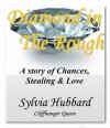 Diamond In The Rough - Sylvia Hubbard