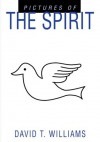 Pictures of the Spirit - David Williams