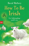 How To Be Irish: Ein Anthropologe packt aus - David Slattery, Gabriele Haefs