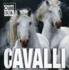 Cavalli (Cube Book) - Gabriele Boiselle, Henry Dallal, Attila Corbely, Paolo Manili, Senio Sensi, Madford Taylor