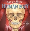 Pop Up Facts: Human Body (Pop Up Facts) - Emily Hawkins, Sue Harris, Andy Masnfield, Kim Thompson, Steve Kingston, Ross Francis, Rachael Pery-Johnston