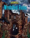 Wretched Ruins - Steven L. Stern, Paul F. Johnston