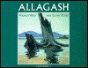 Allagash: Maine's Wild and Scenic River - Dean B. Bennett