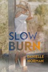 Slow Burn - Danielle Norman