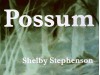 Possum - Shelby Stephenson