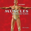 Muscles: The Muscular System - Gillian Houghton