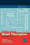 Effective Brief Therapies: A Clinician's Guide - Michel Hersen