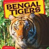 Bengal Tigers - Willow Clark