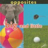 Opposites: Big and Little - Luana K. Mitten