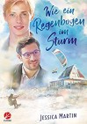 Wie ein Regenbogen im Sturm (Regenbogenpension 3) - Jessica Martin