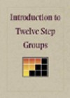 Introduction to Twelve Step Groups DVD - Hazelden Foundation