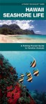 Hawaii Seashore Life: An Introduction to Familiar Species - James Kavanagh, Raymond Leung