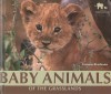 Baby Animals of the Grasslands - Carmen Bredeson