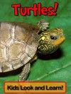 Turtles! Learn About Turtles and Enjoy Colorful Pictures - Look and Learn! (50+ Photos of Turtles) - Becky Wolff