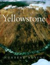 Yellowstone - Norbert Rosing