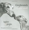 Greyhounds Big and Small: Iggies and Greyts - Amanda Jones