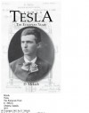 Nikola Tesla: The European Years (Men's Culture and History) - D. Mrkich