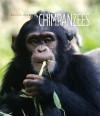 Living Wild: Chimpanzees - Melissa Gish