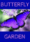 BUTTERFLY GARDEN:: Butterfly garden is about Butterflys types, flowers that attract butterflies, hummingbird facts and pictures. - ROBERT EDWARDS