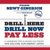 Drill Here, Drill Now, Pay Less: A Handbook for Slashing Gas Prices and Solving Our Energy Crisis (Audio) - Newt Gingrich, Callista Gingrich