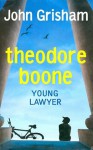 Theodore Boone: Young Lawyer - John Grisham