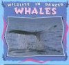 Whales - Louise Martin