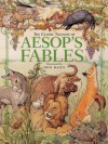 The Classic Treasury of Aesop's Fables - Don Daily