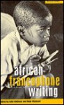 African Francophone Writing: A Critical Introduction - Laila Ibnlfassl, John E. Flower