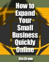 How to Expand Your Small Business Quickly Online (Expand Your Small Business Speedily Online) - Jim Green