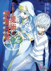 とある魔術の禁書目録 13 - Kazuma Kamachi, Haimura Kiyotaka