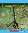 Spider Monkeys - Vicky Franchino