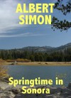 Springtime in Sonora (Henry Wright Mystery #2) - Albert Simon